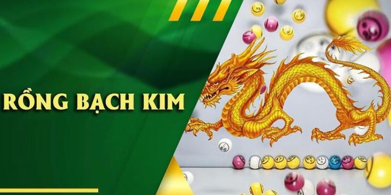 Chia sẻ bí kíp soi cầu bạch kim hiệu quả tại 69VN